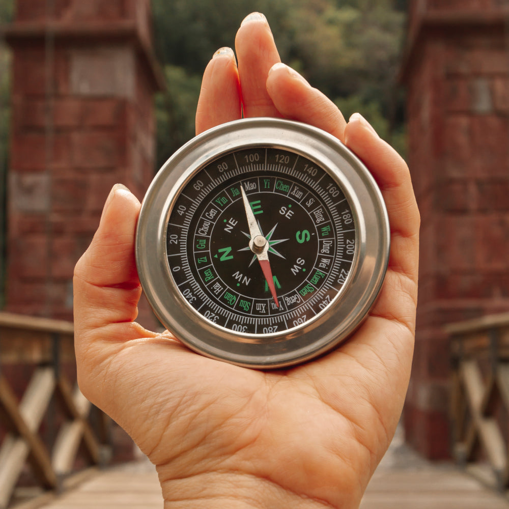 Large Vāstu complete analysis (with a written report)